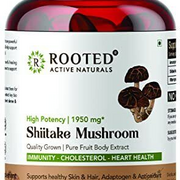 Rooted Shiitake Mushroom 120 Capsules 650 mg | Supports Healthy Cholesterol & He