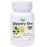 Biotrex Nutraceuticals Slippery Elm 400mg 60 Veg Capsules, Dietary supplement to