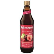 Rabenhorst Well-being with Iron 750ml (Pack of 6)