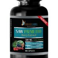 Boosts Testosterone Levels - SAW PALMETTO 500mg - Saw Palmetto Pills - 100 Caps