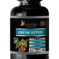 blood sugar support - ADRENAL SUPPORT - weight loss natural supplements 1 BOTTLE