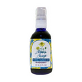 Arnica Allay Pump Top 4 oz by Flower Essence Services