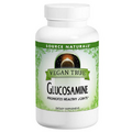 Vegan True Glucosamine 60 Tabs by Source Naturals