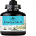Lemon Balm Liquid Extract 4 fl oz | All-Natural Dietary Supplement | Anxiety and