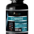 Carnitine 1000 - L-CARNITINE 510mg - Improves Male Fertility Stamina - 1 Bottle
