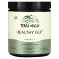Terra Origin, Healthy Gut, Mint, 7.83 oz (222 g)