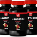blood pressure support - HAWTHORN BERRY EXTRACT 665mg - 3 Bottles 180 Capsules