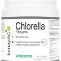 Chlorella Yaeyama from Japan (100% Chlorella vulgaris) 500mg 360 Tablets