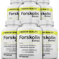 6 Maximum Strength 100% Pure Forskolin 800mg Rapid Results! Forskolin Extract