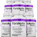 6 Maximum Strength 100% Pure Forskolin 800mg Rapid Results! Forskolin Extract