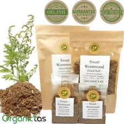 Artemisia annua Tee 100g Geschnitten Bio-Natur-Anbau aus Bulgarien Best Quality