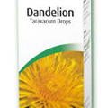 A Vogel Fresh Herb Tincture Dandelion 50ml