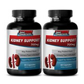 Astragalus Extract - Kidney Support 700mg - Support Your Kidneys Capsules 2B