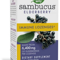 Nature's Way Sambucus Immune Elderberry Lozenges* with Vitamin C, Echinacea, & Zinc, 30 Lozenges