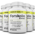 5 Maximum Strength 100% Pure Forskolin 800mg Rapid Results! Forskolin Extract