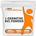 BULKSUPPLEMENTS.COM L-Carnitine HCl Powder - Carnitine Supplement, Carnitine Powder, L-Carnitine 500mg - Unflavored & Gluten Free, 500mg per Serving, 500g (1.1 lbs) (Pack of 1)