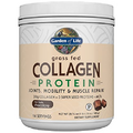 Garden of Life Grass Fed Collagen Protein Powder - Chocolate, 14 Servings, Collagen Powder for Joints Mobility Muscle Repair, Collagen Peptides Super Seeds Coconut MCTs, Keto Collagen Supplements