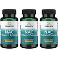 Swanson Premium Brand NAC - N-Acetyl Cysteine - Supplement 600 mg 100 Capsules (3 Pack)