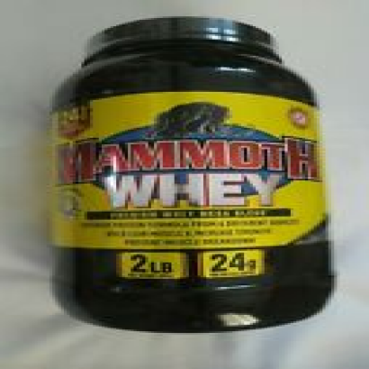 Mammoth Whey Premium Whey Mega Blend 2 lbs 25 Servings Vanilla 24 g Protein Per