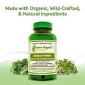 Green Organic Supplements Green Power Multivitamin, Whole Food Multivitamin.