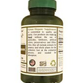 Green Organic Supplements' N-Acetyl Cysteine (NAC), 90 VCaps