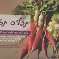 Family, Nutrition Diet Health Book,unique, Brain, anti aging, Baby, teenage Food