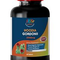 Best Diet Pill - Hoodia Gordonii 2000mg Extract - Burn Calories - 1B 60Ct