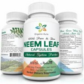Organic Aura Neem Capsules Natures Miracle Detoxifying Agent Promotes Health