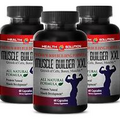 Colostrum  Bovine - Muscle Builder XXL Formula - essential amino acids - 3 Bot