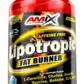 Lipotropic Fat Burner 200 Caps Mega Fast Loss AMIX MEGA SALE