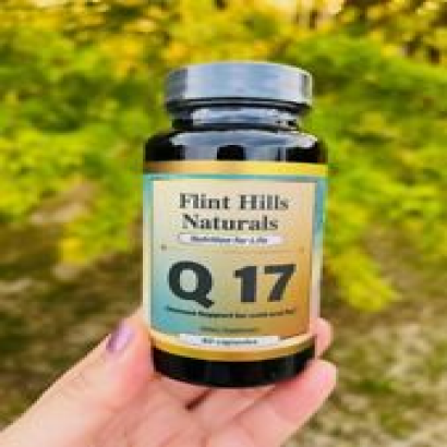 Q17 QUERCETIN with Vitamins and Zinc, Dr. Zelenko Protocol