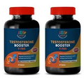 Testosterone Formula - Testosterone T785 - Guarana - Libido Booster - 2Bot 60Ct