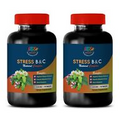 stress defender supplement - STRESS NATURAL COMPLEX - mood boost and energy 2 BO