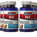CLA Dietary Supplement. Lean Muscle. Body Fat Burner (6 Bottles)