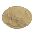 CROW Hadjod Powder/Hadjora Powder / हॅडजोड पावडर/Vajravalli Powder/Cissus Quadrangularis (500 GMS)