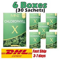 6x MINE Chlorophyll X Detox Release excess Fat Antioxidant  Boost immunity
