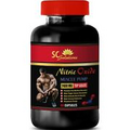 Nitric oxide pills - NITRIC OXIDE 2400 Mg - 1B - nitric oxide supplement