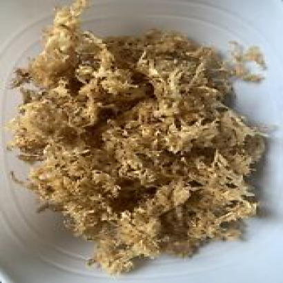 Real Irish sea moss (CHONDRUS CRISPUS) Organic- not pool grown - 2oz
