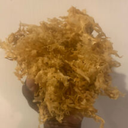 Real Irish sea moss (CHONDRUS CRISPUS) from Canada 4oz - Dr. Sebi Recommended