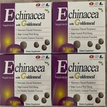 ECHINACEA WITH GOLDENSEAL By GSL. Maintains Natural Resistance, Lot Of 4 Boxes