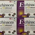 ECHINACEA WITH GOLDENSEAL By GSL. Maintains Natural Resistance, Lot Of 4 Boxes