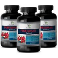 antioxidant fruits - Pomegranate 40% Extract - pomegranate fruit 3B