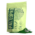 PaleoPro Paleo Greens Powder, Plant-Based Vegan Protein Powder, Vitamin B12, Keto Ingredients, Gluten-Free, Good Source of Fiber, Calcium, Magnesium, Vitamins A & C, Vitamin K & Iron, No Sugar, 9.4oz
