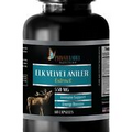Deer antler velvet extract - ELK VELVET ANTLER 550mg - immune support mix - 1Bot