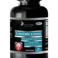 Testosterone Activator - Increase Energy, Libido, Mood and Recovery (1 Bottle)