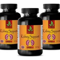 kidney cleanse - KIDNEY SUPPORT COMPLEX - kidney stone - 3 Bottles
