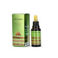 APIS FAMILIA Green Bee Propolis Extract, Immune Support, Alcohol Free, 30ml
